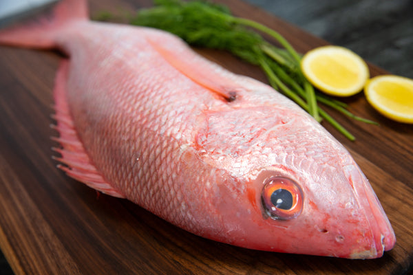 Whole American Red Snapper  Central Market - Really Into Food